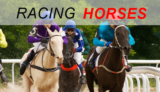 Racing Horses